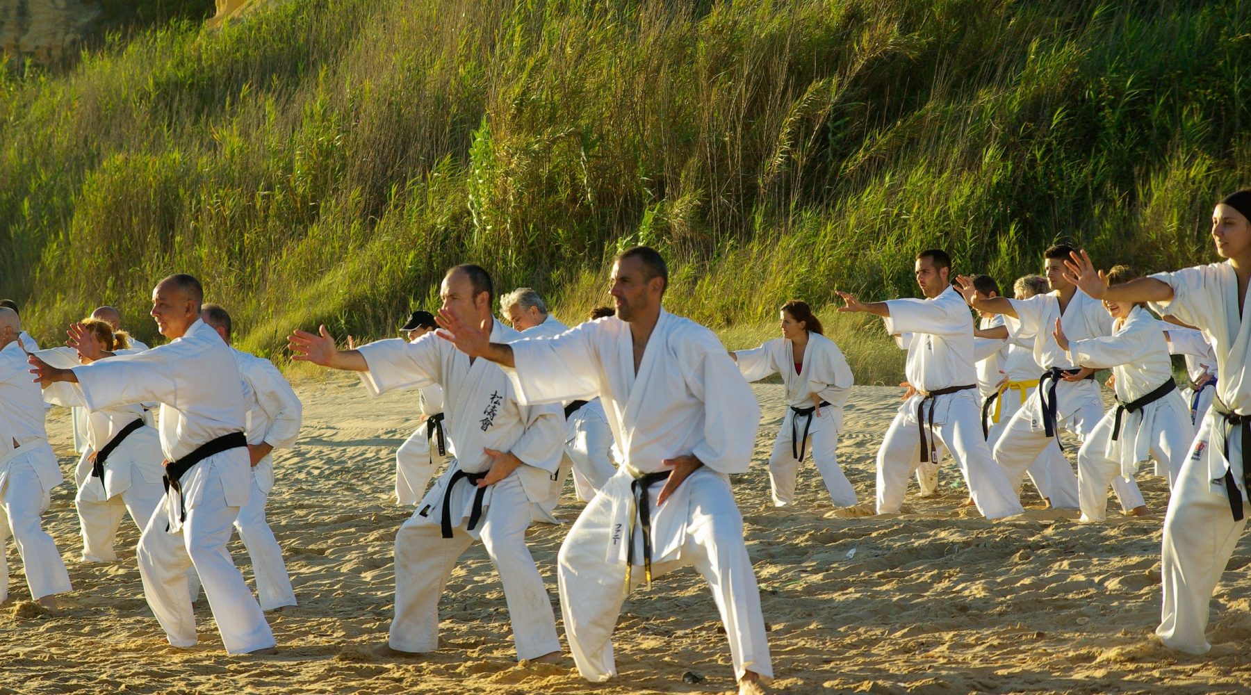 Mu Chindo Karate being trained at a WYSOK club