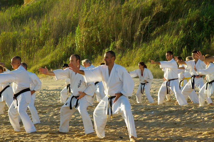 Mu Chindo Karate being trained at a WYSOK club