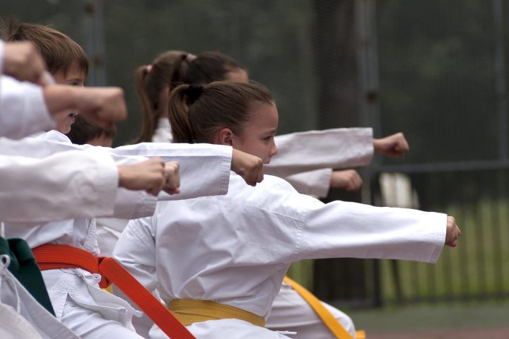Wado Ryu Karate being trained at a WYSOK club